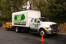 rnjtreeservice002004.jpg